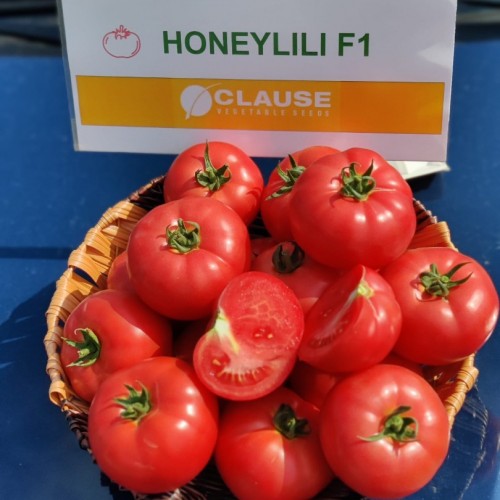 Розов домат Хъни Лили/ Honeylili F1