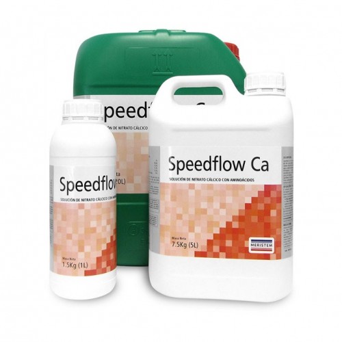 Спийдфлоy Ка /Speedflow Ca 